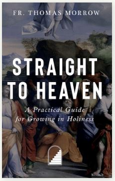 STRAIGHT TO HEAVEN, A PRACTICAL GUIDE FOR GROWING IN HOLINESS