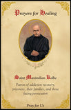 SAINT MAXIMILIAN KOLBE HEALING ROSARY